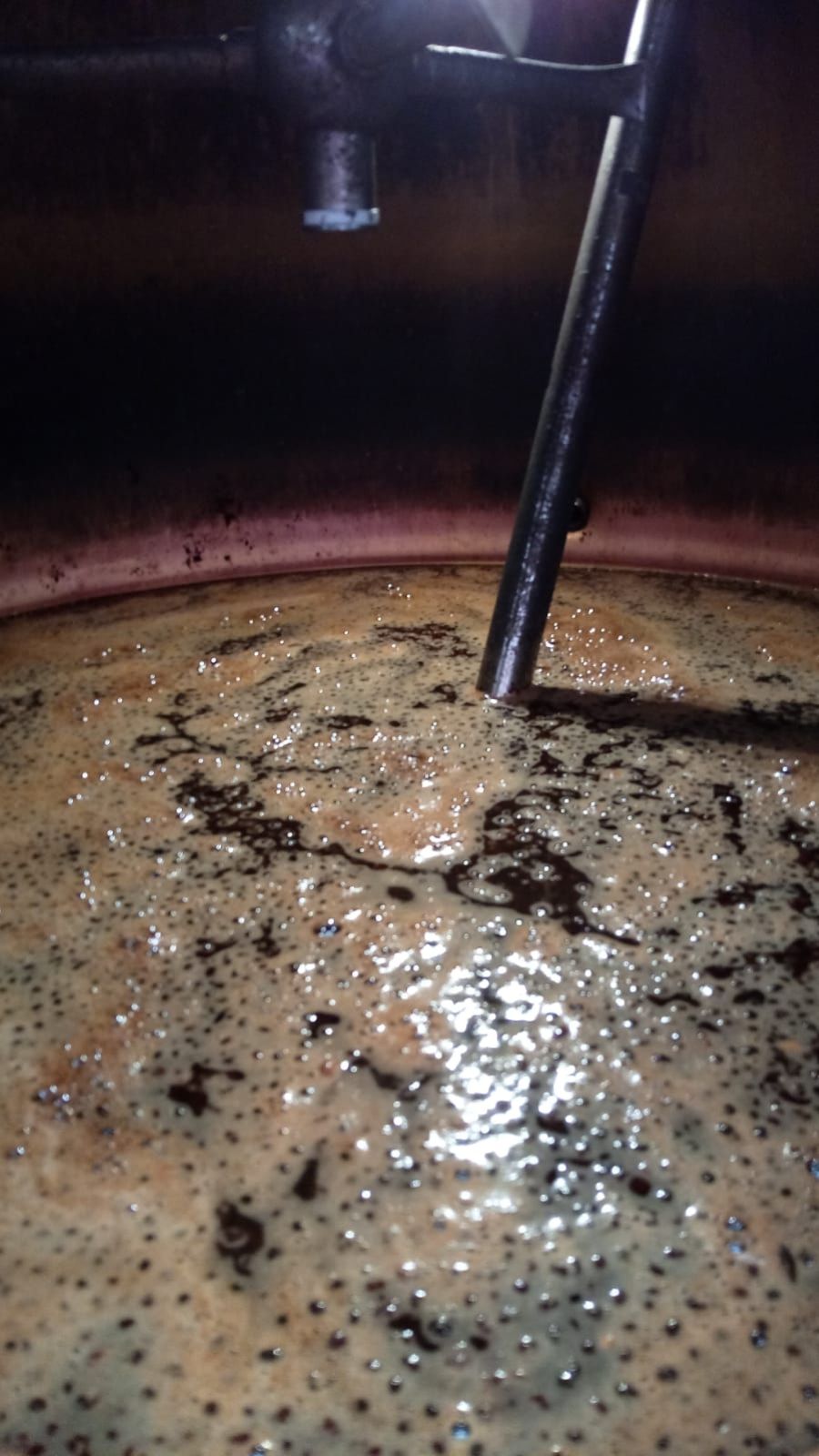 Coffee-Gin (Bio) – Bild 9