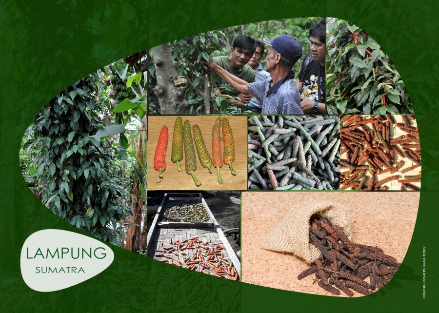 Gewürzbox „Pfeffer“ – Indonesien – Bild 9